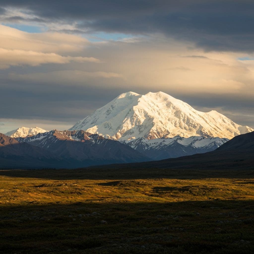 Denali National Park