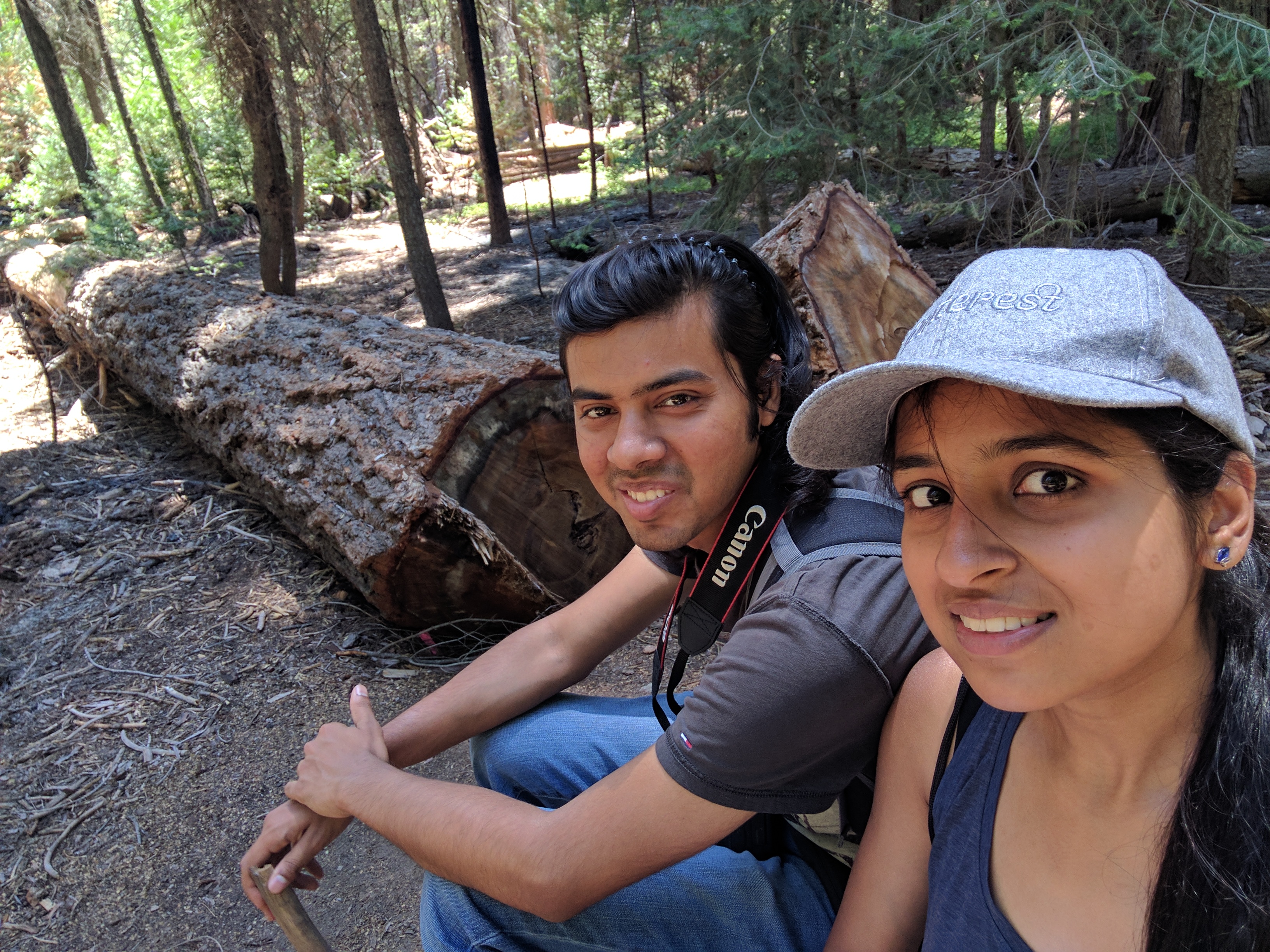Sitting next to a massive fallen sequoia log